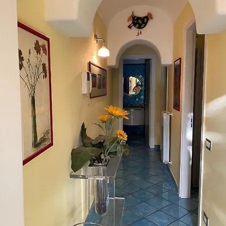 Appartement Con Terrazzo